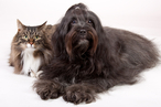 iStock_000013142213Small iStock_000013142213Small